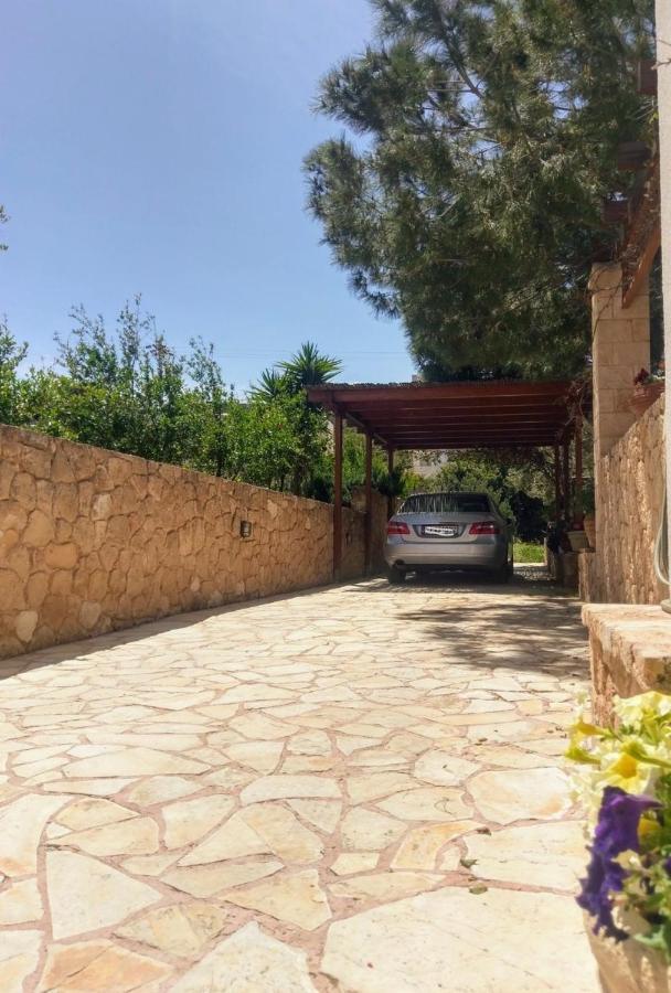 Mediterranean Garden Villa Vathí Екстериор снимка