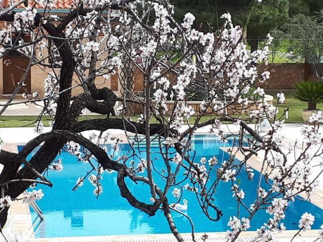 Mediterranean Garden Villa Vathí Екстериор снимка