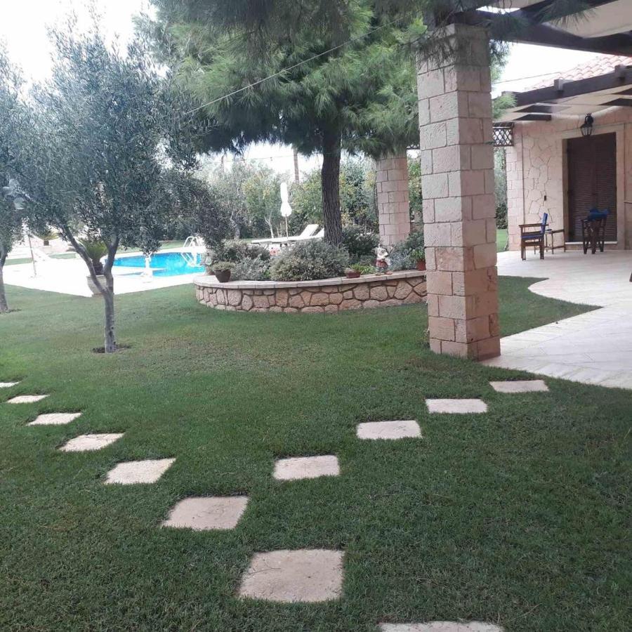 Mediterranean Garden Villa Vathí Екстериор снимка