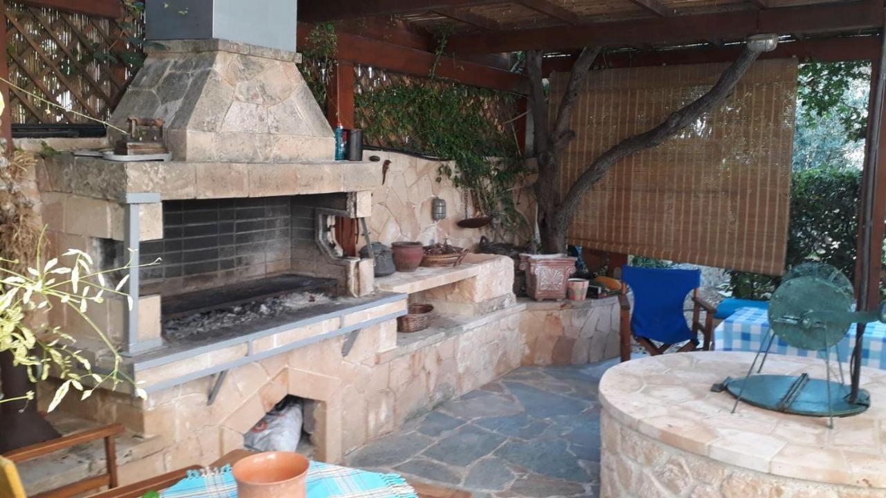 Mediterranean Garden Villa Vathí Екстериор снимка