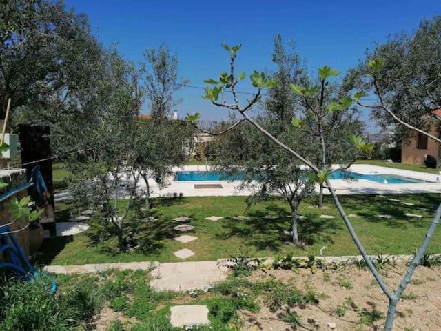 Mediterranean Garden Villa Vathí Екстериор снимка